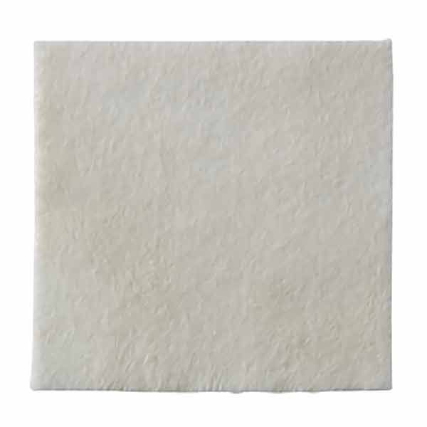 Biatain Alginate Silver 5x5cm - Biatain product image for SEO optimization