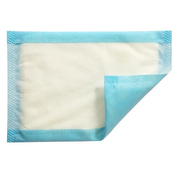 Mesorb Absorbent Dressing 15x23cm - Mesorb product image for SEO optimization