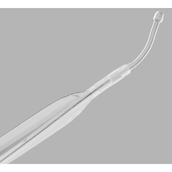Urethral Dilation Balloon Catheter